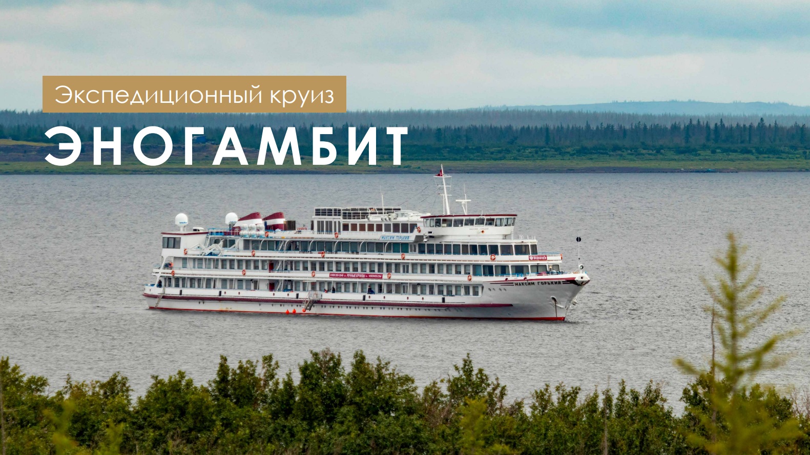 Шахматно-винный круиз «Эногамбит»